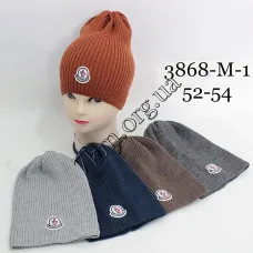 Шапка детская Оптом для мальчиков 52-54 рр. "Moncler" 3868-M-1