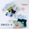 Носки детские Оптом махра для мальчиков 0-1 года "Дино" Корона CW453-4