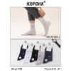 Носки мужские Оптом 41-47 р. "B" Корона AY188-1