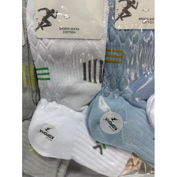Носки мужские Оптом 35-39 р. cotton "Чёрточки" Корона AY236-3